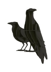 the-ravens-ibide